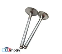 Zawór ssący + wydechowy Lombardini LDW702 LDW1003 LDW1404